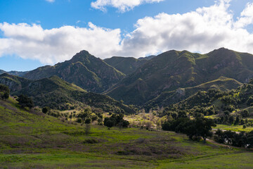Fototapeta na wymiar Views mountains, hills, rivers, lush grass and foliage, while hiking during the spring in Malibu Creek State Park.