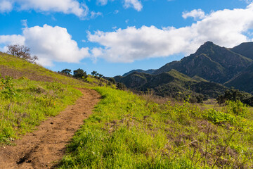 Views mountains, hills, rivers, lush grass and foliage, while hiking during the spring in Malibu Creek State Park.