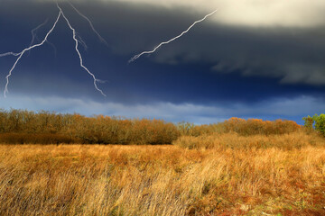 lightning in the field - 751856429