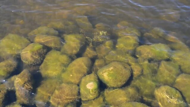 shore of large lake