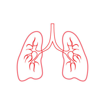 Human lung vector image template icon