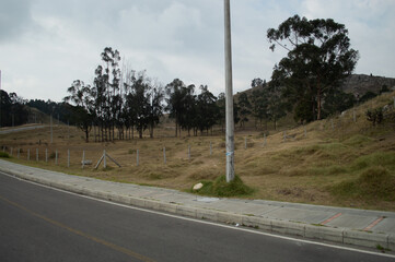 Landscape, mountain, winter, road, green city, countryside, outside the city