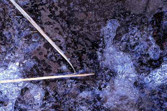 Textures of nature captured in frozen water