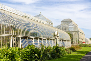 Fototapeta na wymiar Beautiful greenhouse in National Botanic Gardens, Dublin, Ireland. Large area with naturalist sections, formal gardens, an arboretum and a greenhouse with Victorian palms.