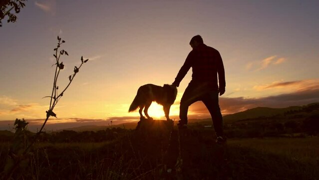 man on his back stroking his border collie dog while watching the sunset in the countryside