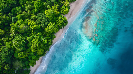 An aerial view reveals a pristine beach with turquoise waters, surrounded by lush greenery.