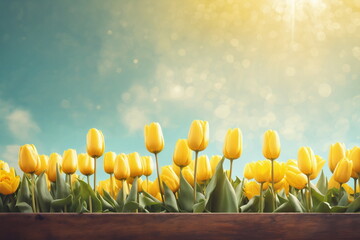 Spring season background. Nature color. Sunny flower field. Tulip garden landscape. May floral bloom. Fresh plant bulb grow. Light day park Bright sun blue sky. April leaf close up Green grass beauty.
