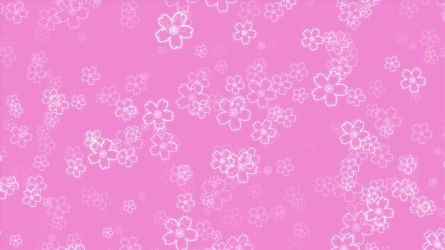 cherry blossom loop background material