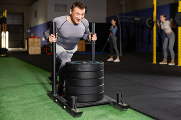 Brutal strong muscular bodybuilder athletic man pumping up muscles with crossfit traction sled in...
