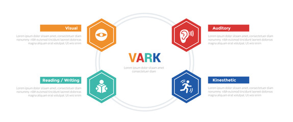 VARK learning styles infographics template diagram with honeycomb hexagon hexagonal circular on circle with 4 point step design for slide presentation - obrazy, fototapety, plakaty