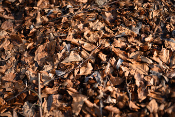 close up of a background
