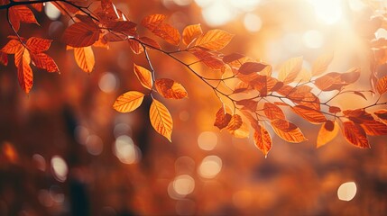 serene beauty leaves background