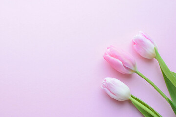 Bouquet of pink spring tulips and place for text for Mother's Day or Women on a pink background. Top view flat style.