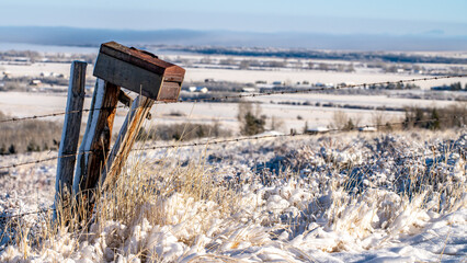 Tool style mailbox on a fence post in the country