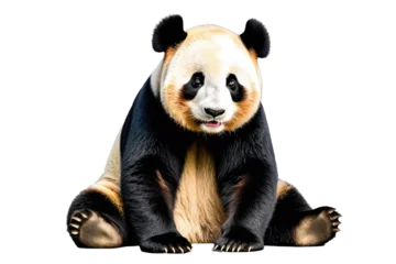  Giant panda bear standing, exuding joy, full body in high-key lighting, isolated against a pure white background, looking directly into the camera, sharp focus on the panda's features © ramses