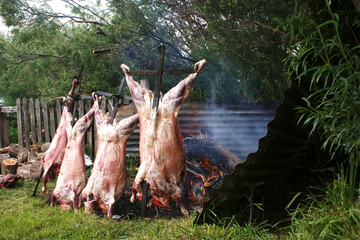 Patagonian lamb roasted over embers, called al palo. Typical Patagonian cuisine