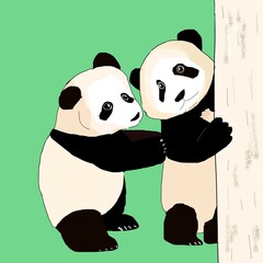Naklejka premium the standing two baby giant panda