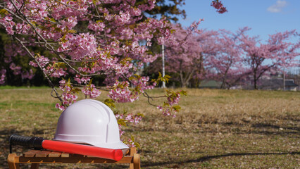 桜とヘルメットと誘導棒｜建設業・警備業　入社イメージ