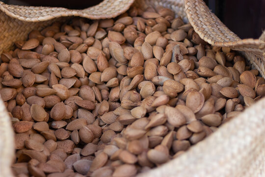 Close-up of delicious raw Marcona almonds in shell in an esparto grass basket.