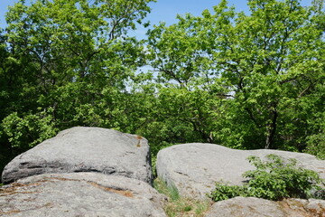 Felsformation Totenstein in den Königshainer Bergen