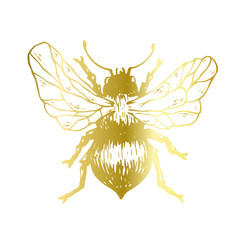 Decorative golden bee, winged insect. Vector graphics.