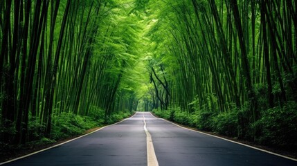 Photo of a long road in the middle of very green bamboo