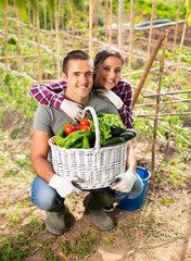 Positive young family couple with harvest of vegetables in garden - 751909829