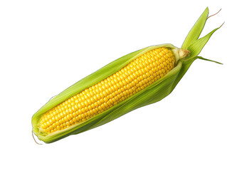 Corn isolated on transparent background, transparency image, removed background