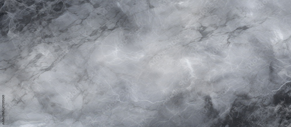 Poster a grayscale marble texture background, showcasing intricate swirls and veins of black and white thro