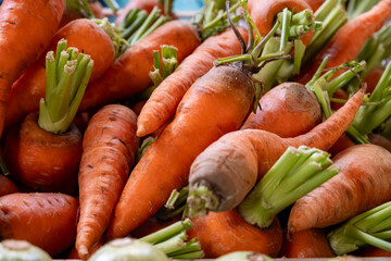 Fresh sweet organic carrots roots on Sunday farmers market on Tenerife, Canary islands, Spain, close up