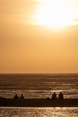 Group of men and women sitting and looking at sunset on ocean beach, orange sky, silhouettes of people on vacation
