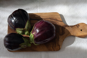 Raw young eggplants vegetable from organic vegetables farm on Fuerteventura island, Canary islands, Spain