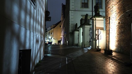 Ducal castle of Szczecin Poland (Pomeranian Dukes' Castle in Szczecin) and its gate at night