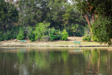 Lake with trees and park bench at Irvine Regional Park in Orange County, California