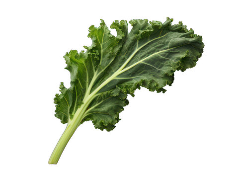 Kale isolated on transparent background, transparency image, removed background