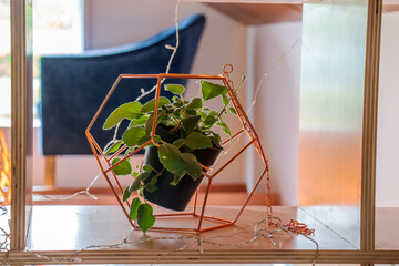 A Plant in a Hanging Pot Rests Gracefully on the Table