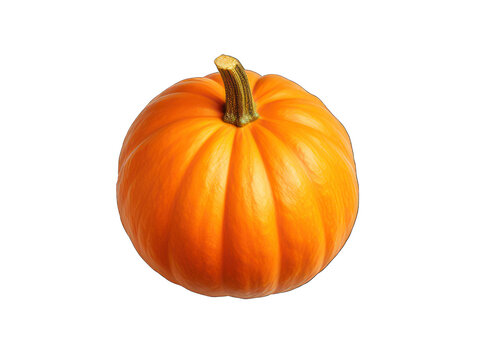 Pumpkin isolated on transparent background, transparency image, removed background