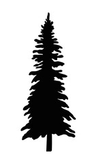 Fir tree, christmas tree silhouette