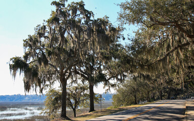 Bay street Beaufort South Carolina with water on one side and spanish moss hangigng from trees on...
