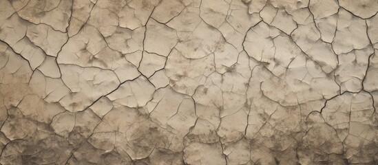 This image shows a wall with noticeable cracks, some of which have water seeping through. The texture of the wall is rugged and damaged, highlighting the impact of time and environmental factors.
