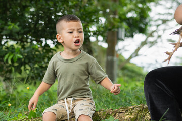 Caucasian Latino peasant boy screaming, sitting on the trunk of a tree on the ground