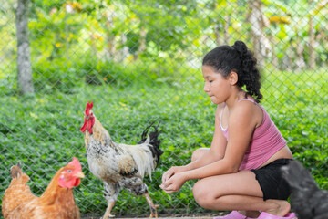 latin peasant girl inside the chicken coop taking care of the hens, surrounded by chickens.