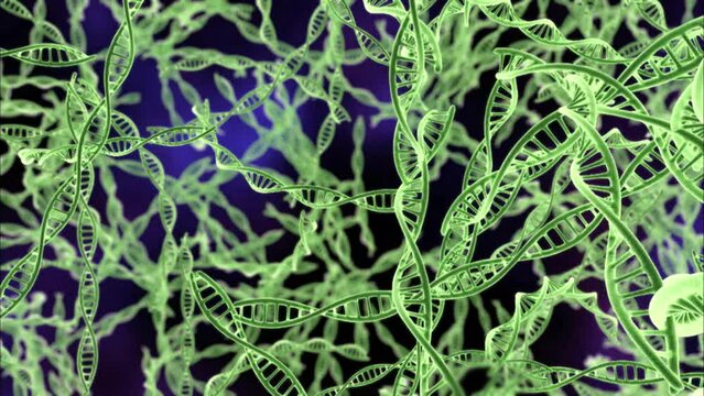 DNA 분자구조가 유영하는 컴퓨터 그래픽 영상 