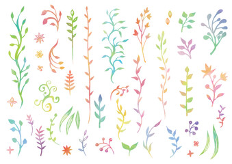水彩風のカラフルなたくさんの手描きの植物の飾りセット