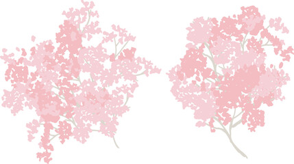 Obraz na płótnie Canvas 桜の花イラスト。満開の桜の花と散る花びら。桜並木。春の花見。Cherry Blossom Clipart. Cherry blossoms in full bloom and falling petals. Row of cherry blossom trees. Spring flower viewing.