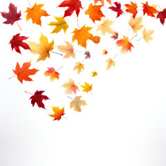 Falling autumn foliage on white background