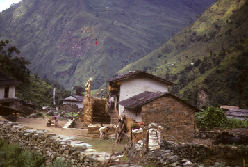 Trekking porters resting at ridgetop