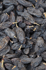 black raisin on white background, close up,