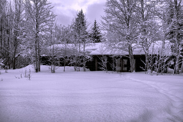 Cabin in the woods after snowstorm; Grand Teton NP; Wyoming