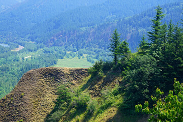 Forests cover the steep cliffs of the Columbia Gorge
